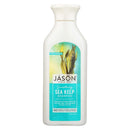Jason Shampoo Sea Kelp 16 Ounces Personal Care& - Hygeine Jason  (3493402411031)