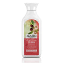 Jason Jojoba Shampoo 16 Ounces Personal Care& - Hygeine Jason  (1381442748439)