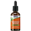 Now Foods Echinacea & Goldenseal Glycerite 2 fl. oz. Herbs Now Foods 