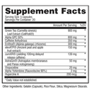 Apollon Furiousa 100ct Pre-Workouts Apollon Nutrition 