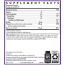 New Chapter Immune Defense Vitamin C+ 60 Gummies Vitamins & Minerals New Chapter 