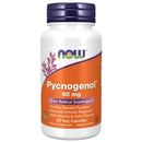 Now Foods Pycnogenol 60mg 50 Veg Capsules Vitamins & Minerals Now Foods 
