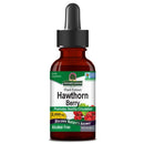 Nature's Answer Hawthorne Alcohol Free 1 oz Herbs Nature's Answer 