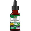 Nature's Answer Liquid Ginseng Alcohol Free 1 fl oz Herbs Nature's Answer 