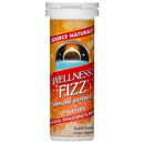 Source Naturals Wellness Fizz 10 Wafers Specialty Health Products Source Naturals Natural Tangerine  (3400161427479)