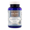 Ancient Apothecary Fermented Turkey Tail 90C Health & Wellness Ancient Apothecary  (522090545185)